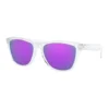Oakley Frogskins Prizm Sunglasses -Oakleady Shop oakley frogskins prizm sunglasses