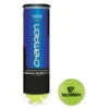 TECNIFIBRE Champion One Tennis Balls -Oakleady Shop tecnifibre champion one tennis balls