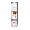 Wilson Tour Germany Tennis Balls -Oakleady Shop wilson tour germany tennis balls