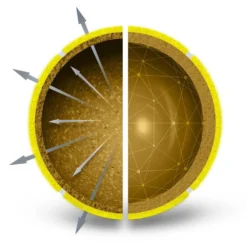 Wilson Triniti Tennis Balls -Oakleady Shop wilson triniti tennis balls 2